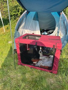 FOSSC Junior Week Camping